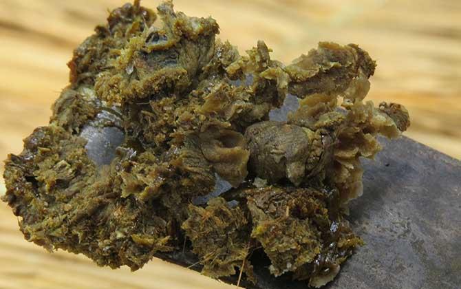 蜂产品的种类及图片大全
