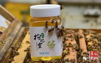 5.20世界蜜蜂日 2019中国主会场在宝鸡 邀你来品蜂蜜 摇蜂箱