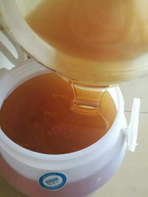 纯天然的蜂产品 自然馈赠的健康瑰宝与选购指南
